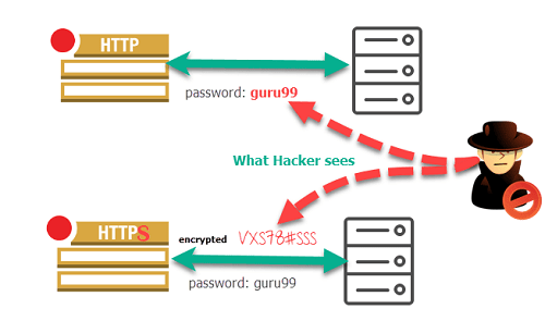 Similarities and Differences between HTTP vs HTTPS