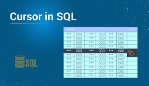 Using Cursor in SQL