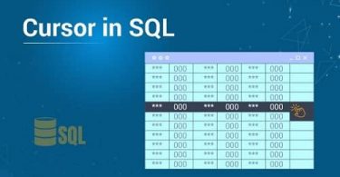 Using Cursor in SQL