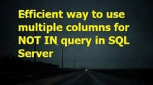 Can you use multiple columns for NOT IN