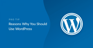 17 Reasons You Need To Use WordPress For Your Website