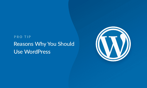 17 Reasons You Need To Use WordPress For Your Website