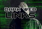 Inspecting Deep Web Links