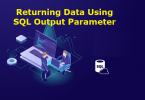 Returning Data Using SQL Output Parameter