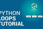 How to Construct While Loops In Python