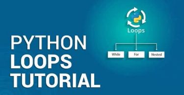 How to Construct While Loops In Python