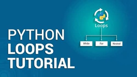 How to Construct While Loops In Python