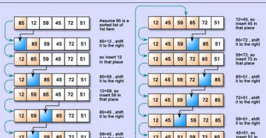 How to work Insertion Sort Algorithm, Feature & Example