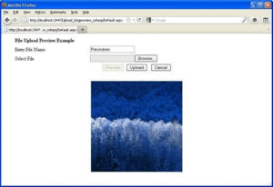 Upload And Immediately Display Images In ASP.NET