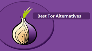 the best tor browser