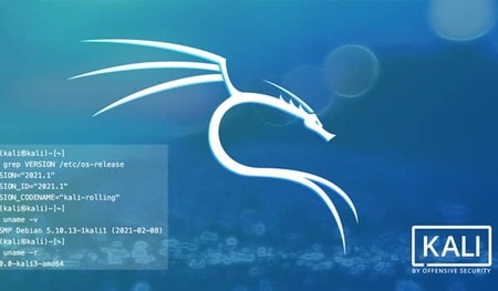 Kali Linux Interview Questions