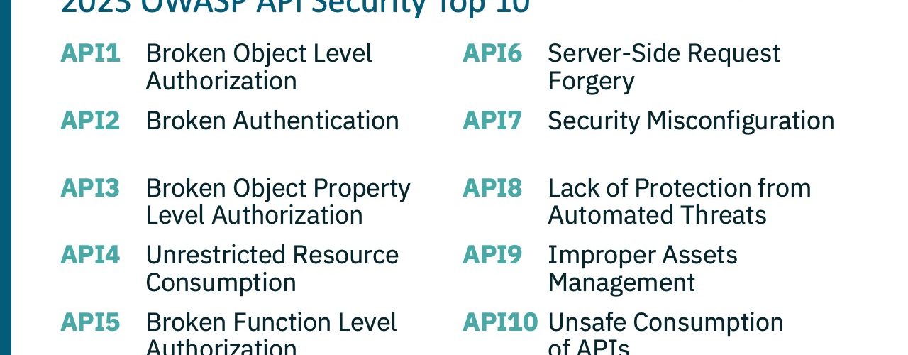 Learn the OWASP API Security Top 10