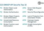 Learn the OWASP API Security Top 10