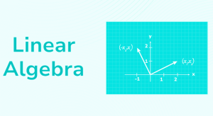 লিনিয়ার অ্যালজেবরা (Linear Algebra) কি এআই ইঞ্জিনিয়ারিংয়ে এর গুরুত্ব ও শাখা নিয়ে আলোচনা