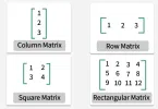ম্যাট্রিক্সের প্রকারভেদ (Matrix Types) : জটিল ধারণা সহজভাবে বুঝুন