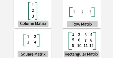 ম্যাট্রিক্সের প্রকারভেদ (Matrix Types) : জটিল ধারণা সহজভাবে বুঝুন