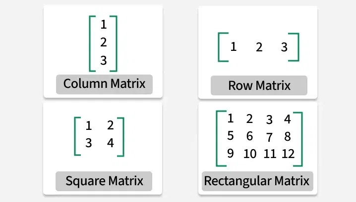 ম্যাট্রিক্সের প্রকারভেদ (Matrix Types) : জটিল ধারণা সহজভাবে বুঝুন