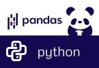Pandas in Python | A Complete Guide with Examples