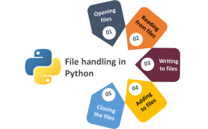 How to Read and Write Files using Python