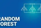 র‍্যানডম ফরেস্ট (Random Forest) অ্যালগরিদম : মেশিন লার্নিং-এর একটি শক্তিশালী এনসেম্বল পদ্ধতি