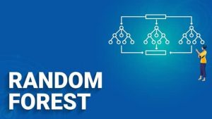 র‍্যানডম ফরেস্ট (Random Forest) অ্যালগরিদম : মেশিন লার্নিং-এর একটি শক্তিশালী এনসেম্বল পদ্ধতি
