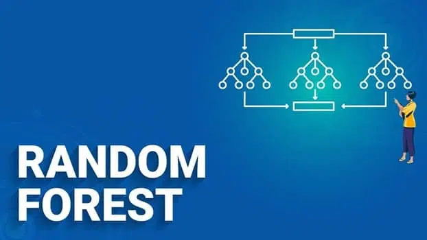 র‍্যানডম ফরেস্ট (Random Forest) অ্যালগরিদম : মেশিন লার্নিং-এর একটি শক্তিশালী এনসেম্বল পদ্ধতি