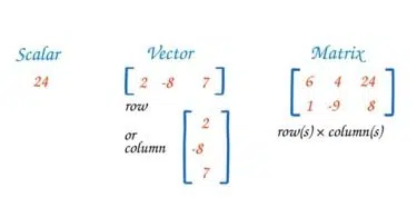 ভেক্টর (Vector) ও ম্যাট্রিক্স (Matrix) : সহজ ভাষায় একটি পূর্ণাঙ্গ গাইড