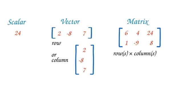 ভেক্টর (Vector) ও ম্যাট্রিক্স (Matrix) : সহজ ভাষায় একটি পূর্ণাঙ্গ গাইড