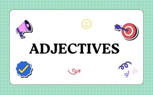 Adjective in English Grammar: Types, Order of Adjectives & Degrees Explained