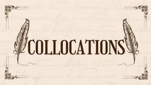 Vocabulary List and Collocation