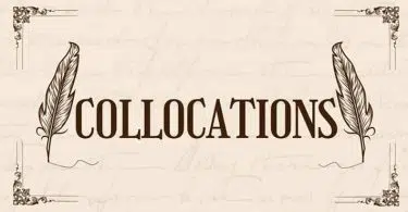 Vocabulary List and Collocation