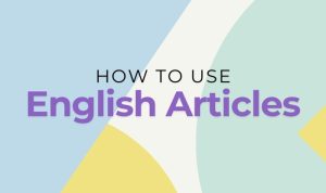 What are Articles in English Grammar? Definition and Examples